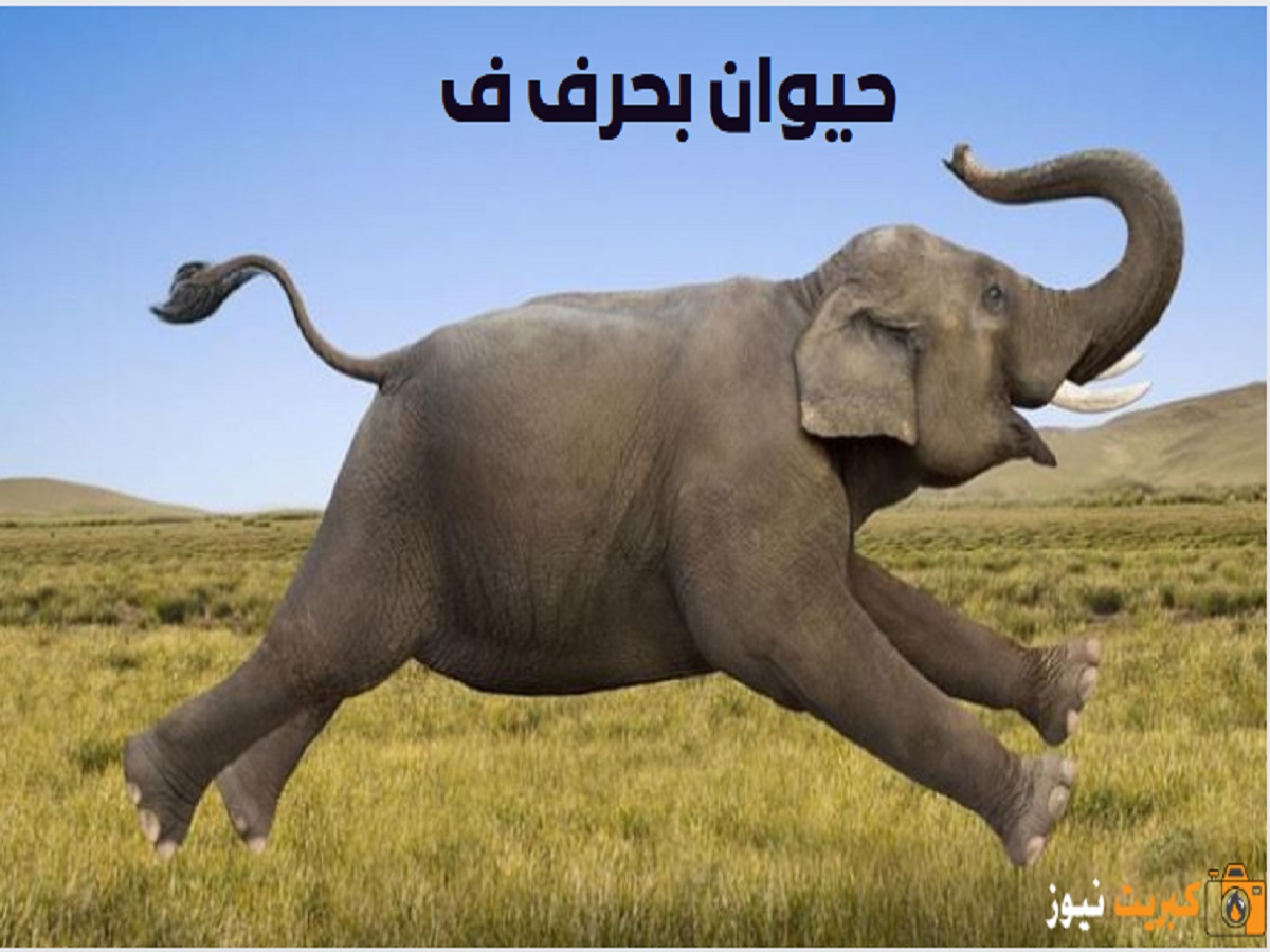 حيوان بحرف ف