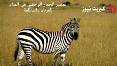 تفسير الحمار الوحشي في المنام للعزباء والمطلقة