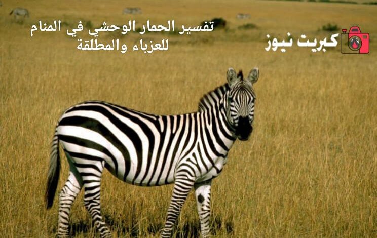 تفسير الحمار الوحشي في المنام للعزباء والمطلقة